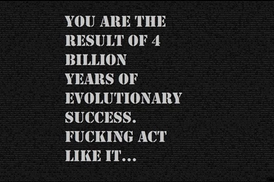 Motivation Wallpapers