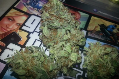 Pineapple Express Auto Nugs And GTA 5