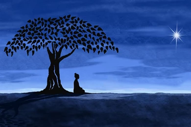 Retreats linden meditation buddha high definition wallpapers ...