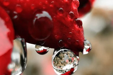 Galaxy S3 Wallpapers HD   Beautiful, Stunning Wallpapers