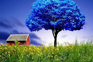 Samsung Wallpapers Hd