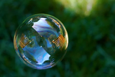 Download Soap Fly Wallpapers 1600x1200