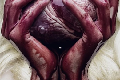 Bleeding Heart   iPhone 4S/4 Wallpapers (To Download: Click On The ...