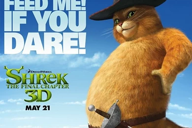 Puss In Boots   Shrek Forever After Wallpapers   Wallcoo.net