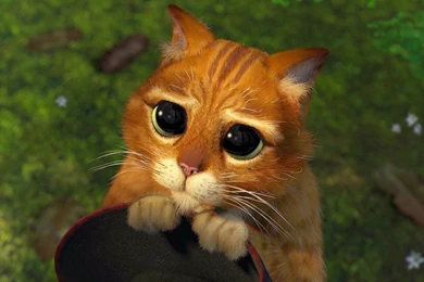 Puss In Boots   Shrek Wallpapers   Cartoon Wallpapers