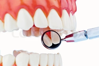 The Model Is A Set Of Teeth With Dental Equipment Isolated On ...