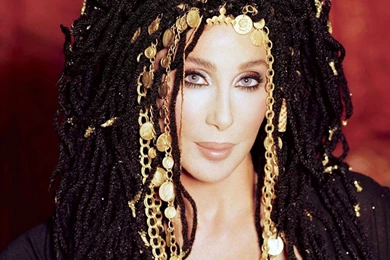Cher: It's 'Karma' If Rep. Akin Gets Raped By Someone With HIV ...