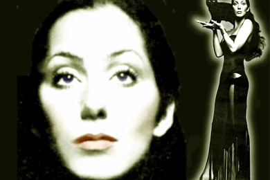 Cher   Cher Wallpapers (30571328)   Fanpop