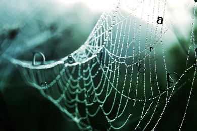 1280 Hd Wallpapers   HD Wallpapers Lovely