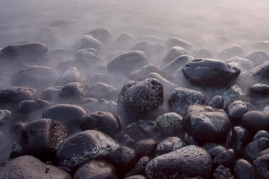 A Few More Wallpapers   GS 2 [WALLPAPER LADY…   Pg. 569