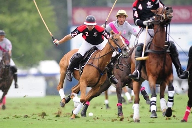 Justpict.com Polo Horse Wallpapers