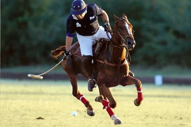 My Best Wallpapers: September 2011