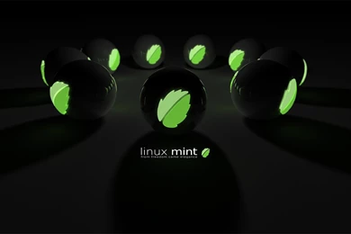 Linux Mint Hot Sexy Girl By Betosoft On DeviantArt