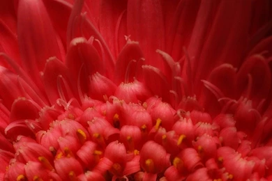 Weekend iPad Wallpapers: More Retina Images From Our Flickr Group ...