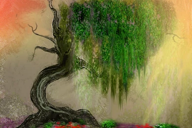 Bent Willow Tree By Altergromit On DeviantArt