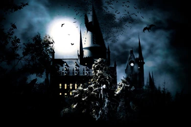Harry Potter Wallpapers   Harry Potter Wallpapers (36441331)   Fanpop