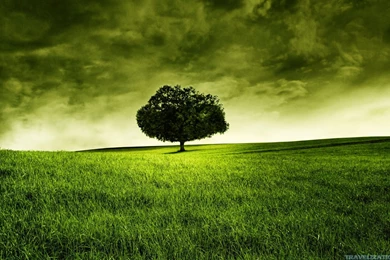 Awesome Rural Scenes Wallpapers