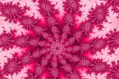 Free Colors Pink Backgrounds Wallpapers And Textures