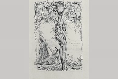 Illustration To Poems Of Anastasius Grünzu "willow Tree" , Von ...
