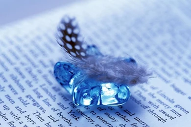 Feather And Gem On Open Book Widescreen Wallpapers
