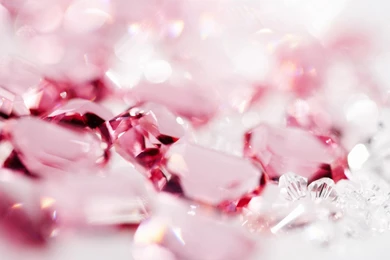 Fashion Of All Seasons