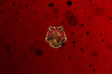 Harry Potter Wallpapers   Harry Potter Photo (36441370)   Fanpop