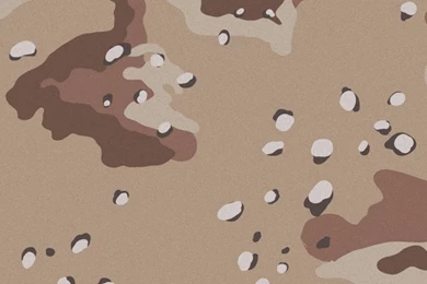 Desert Sand Camo iPhone 5 Wallpapers (640x1136)