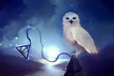 Hogwarts, Dark, Owl, Magic, Hedwig, Movie, Fantasy, Deadly Hallows ...