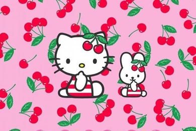 HELLO KITTY WALLPAPER   (