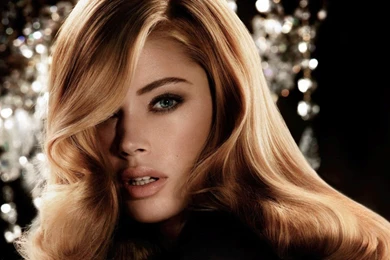 VICTORIA'S SECRET WALLPAPER WF1037