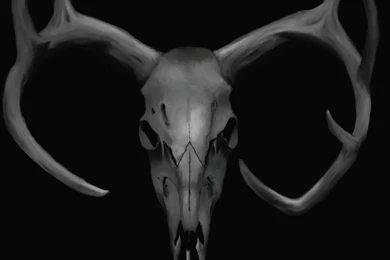 Jestingstock.com Deer Skull Wallpapers