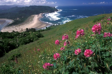 Cascade Head Oregon 1600x1200 ID 32182   Beaches Rivers Oceans ...
