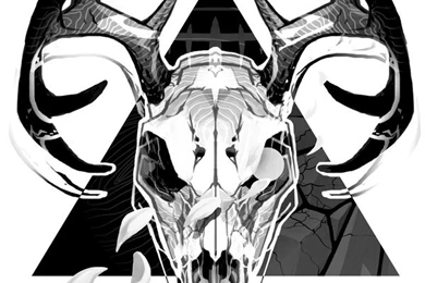 Deer Skull Design By MaxGrecke On DeviantArt