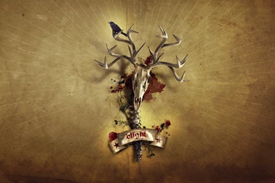 Crow On A Deer Skull Wallpapers 30884