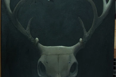 Deer Skull By DExorcist28 On DeviantArt