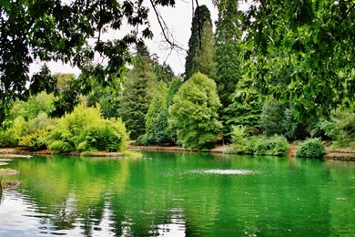 Full HD 1080p Oregon Wallpapers HD, Desktop Backgrounds 1920x1080