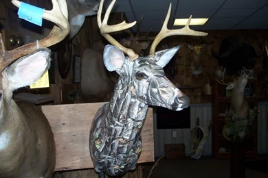 Liquid Concepts   Water Transfer Printing • View Topic   Camo Deer