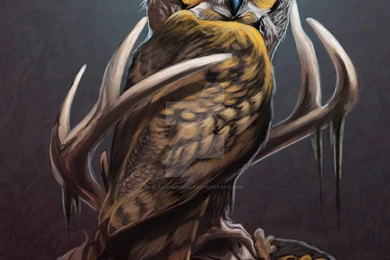 Owl On Deer Skull By BlackHawk45LC On DeviantArt