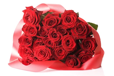 15 Pure Red Valentine's Day Roses HD Wallpapers   Birthday Wishes ...