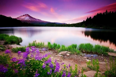 Beautiful Scenery Archives   HD Wallpapers Download For Desktop ...