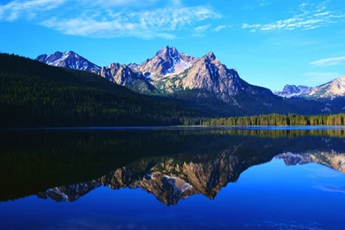 Free Spring Wallpapers Desktop HD Wallpaper Backgrounds