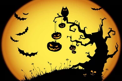 Helloween HD Wallpapers Free Download