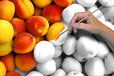 Patel Printing: Coloring Wallpapers