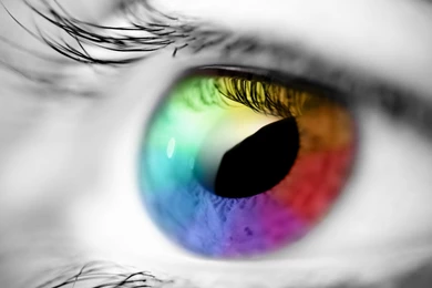 Gulf Establishment For IT Solution