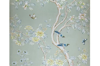 Gracie Wallpapers On Pinterest