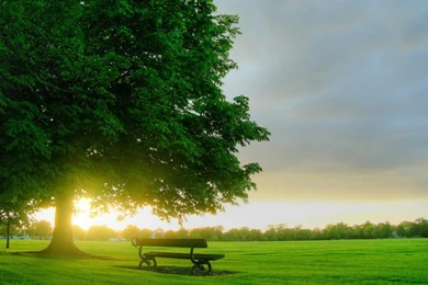 Beautiful Nature High Definition HD Wallpapers