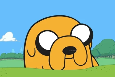 Dog Finn Adventure Time With Finn And Jake – Entertainment TV ...