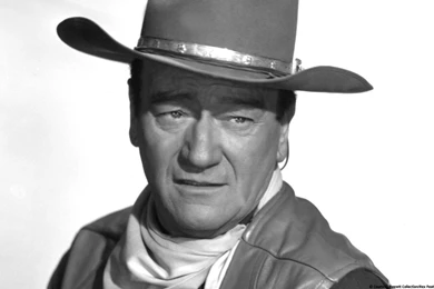 390x488px John Wayne 46.04 KB