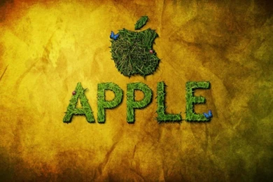 Excellent Grass Full Hd Apple Wallpapers 980×551