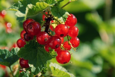 New blog pics: Hd Excellent Wallpapers